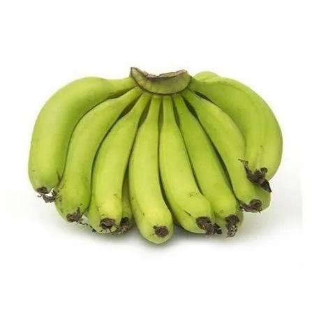 Banana Robusta  - Alternate View