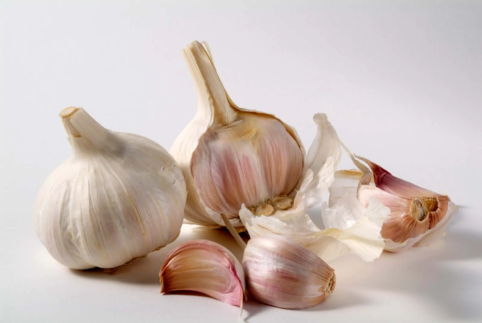 Garlic  - Detail View